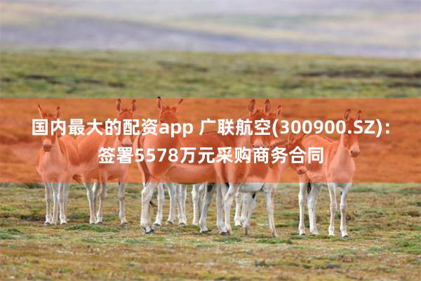 国内最大的配资app 广联航空(300900.SZ)：签署5578万元采购商务合同