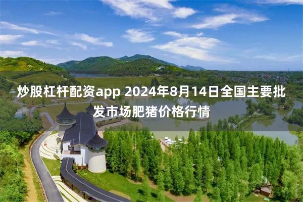 炒股杠杆配资app 2024年8月14日全国主要批发市场肥猪价格行情