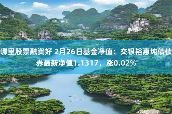 哪里股票融资好 2月26日基金净值：交银裕惠纯债债券最新净值1.1317，涨0.02%