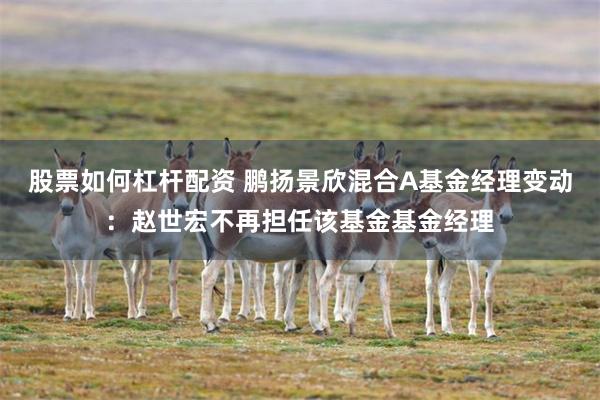 股票如何杠杆配资 鹏扬景欣混合A基金经理变动：赵世宏不再担任该基金基金经理